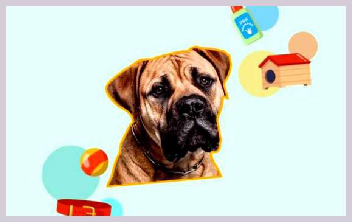 Американский мастиф — всё о собаке