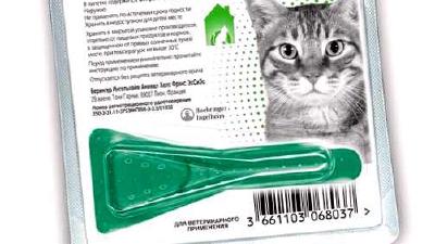 Борьба с паразитами как защитить кошку от блох и клещей