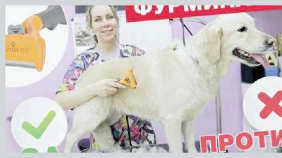 Что такое фурминатор для собак и как им пользоваться