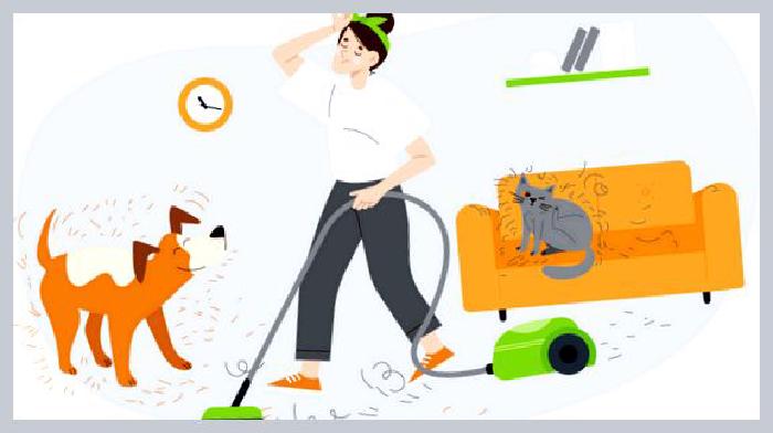 Что такое экспресс-линька для кошек и как ее выполнить самостоятельно