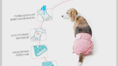 Гигиенические трусы для собак во время течки виды критерии выбора способ использования