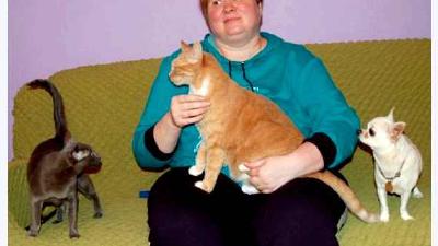 Как играть с кошкой ТОП-20 занятий дома