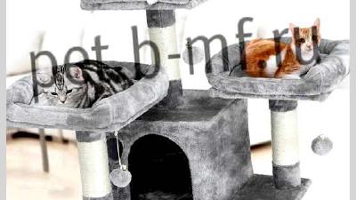 Как обустроить дом для кошки безопасность и комфорт