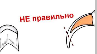 Как правильно и легко подстричь когти кошке