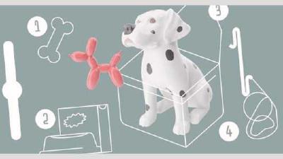 Как путешествовать с собакой по России на машине на поезде на самолете