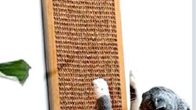 Как выбрать когтеточку для кошки виды плюсы и минусы