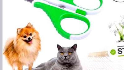 Когтерез для кошек и его использование в домашних условиях