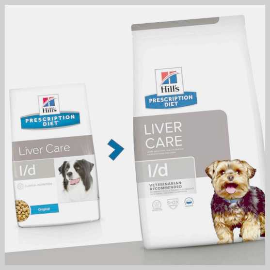 Лечебные диеты и добавки для собак с хроническими заболеваниями