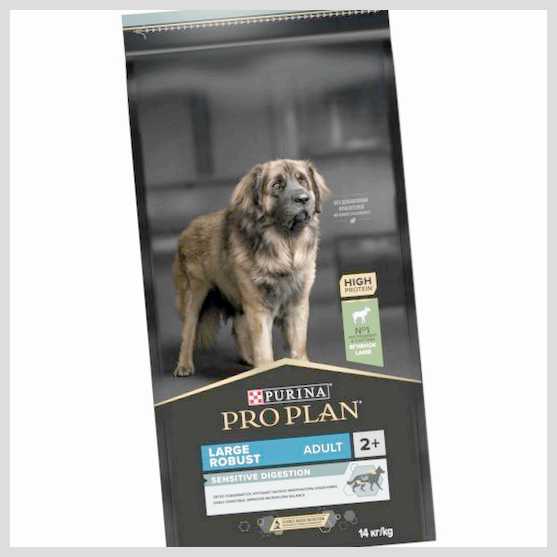 Лечебные диеты и добавки для собак с хроническими заболеваниями