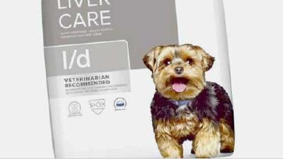 Лечебные диеты и добавки для собак с хроническими заболеваниями