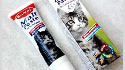 Мальт-паста для кошек характеристика польза и вред необходимость в обиходе