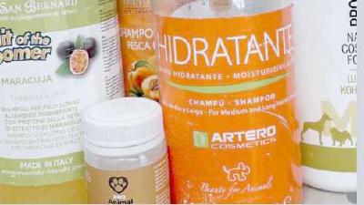 Можно ли мыть собаку человеческим шампунем