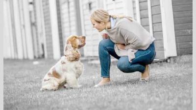 Обучение собаки основным командам методы и лайфхаки