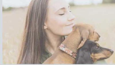 Психология собак понимание поведения вашего питомца