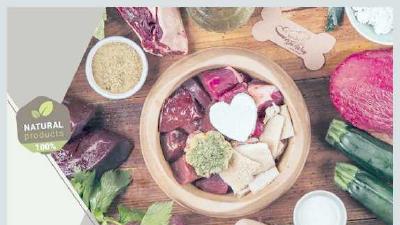 Рациональное питание для собак основы сбалансированного меню