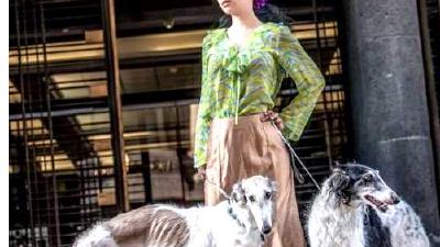 Русская псовая борзая — всё о собаке