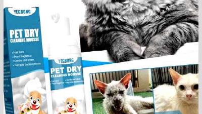 Сухой шампунь для кошек