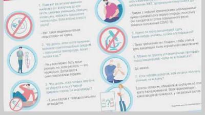 Вакцинация собак расписание и необходимые прививки