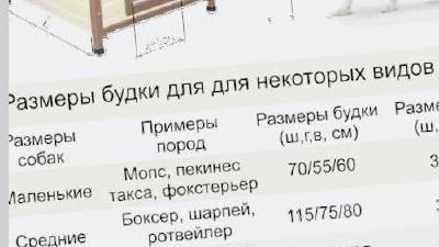 Вольер для собак что это такое размеры и обустройство