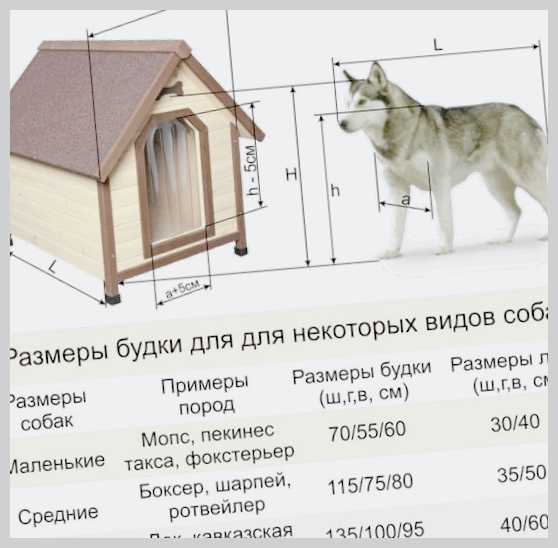 Как правильно подобрать миску для собаки материалы размеры и местоположение