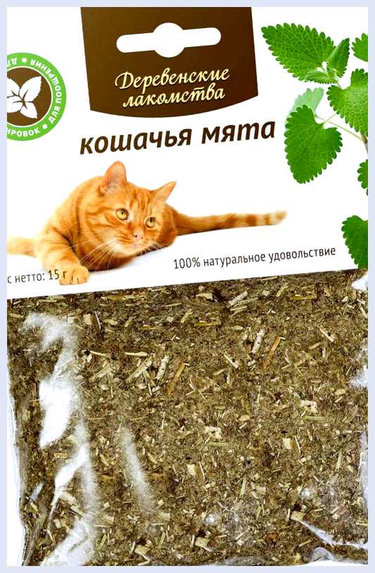 Кошачья мята