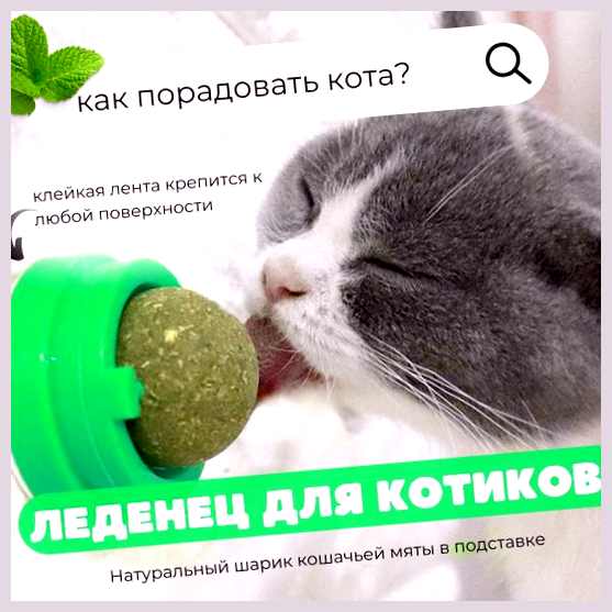 Кошачья мята